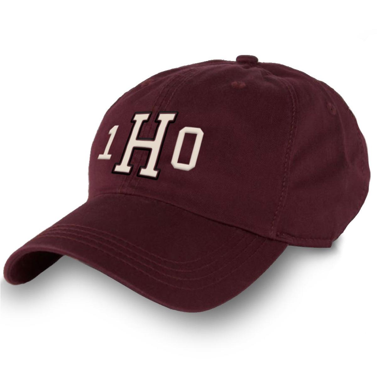 Harvard Class of 2010 Hat Harvard The Coop